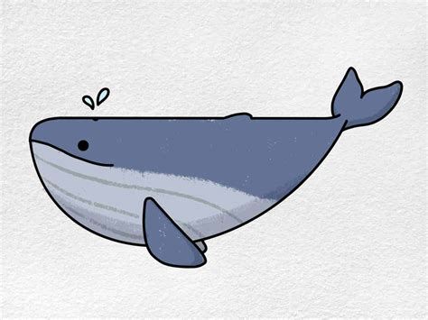 whale drswing|cute whale drawings.